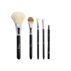 Dior Make up Brush set